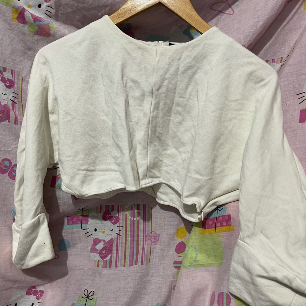 Sally lapointe crop sweater